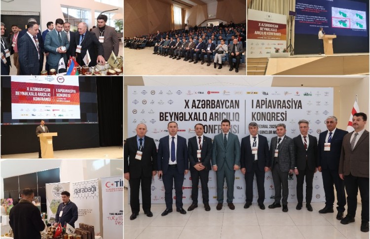 TİKA, 14 Fərqli Ölkədən Arıçıları Bakıda Bir Araya Gətirdi 