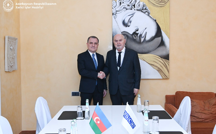 Ceyhun Bayramov ATƏT Baş katibinə Ermənistanla normallaşma prosesi barədə məlumat verib 