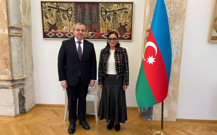 Ректор БГУ в Вене встретился с руководителем Азербайджанского культурного центра 