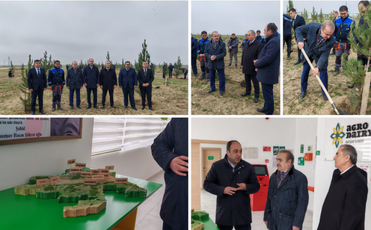 Akademik Rafael Hüseynov “Agro Dairy” MMC-nin Hacıqabul rayonu Padarçöl sahəsindəki təsərrüfatı ilə tanış olub 