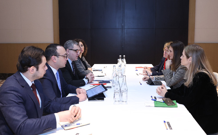 İspaniya qurumları ilə görüş keçirilib 