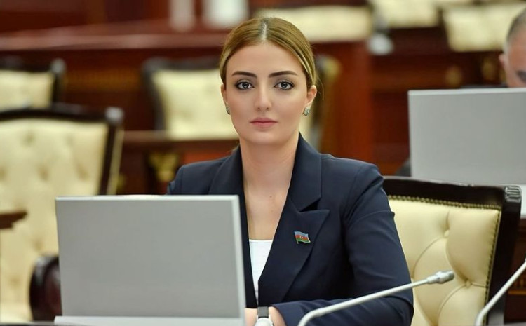 Milli Məclisin deputatı Cenevrədə səfərdədir 