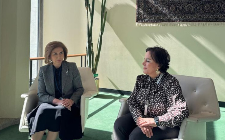 Bahar Muradova BMT-nin Nyu-Yorkdakı qərargahında CEDAW komitəsinin sədri ilə görüşdü 