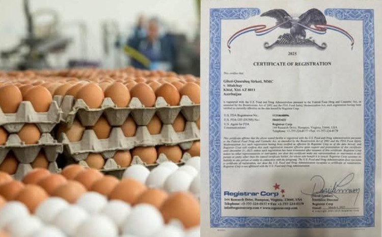 Azərbaycan ilk dəfə ABŞ-a süfrə yumurtası ixracına başladı 