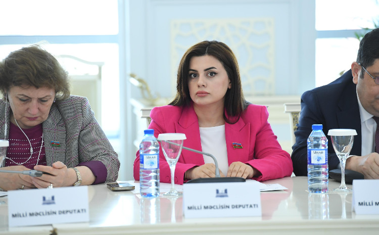 “Bir kəmər, bir yol” təşəbbüsündə Azərbaycanın rolu - Çinlə strateji tərəfdaşlıq 