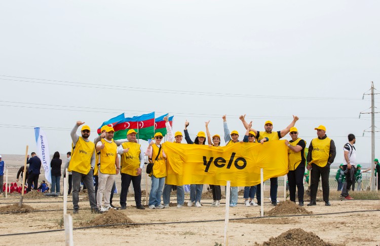 Yelo Bank contributes to a greener future 