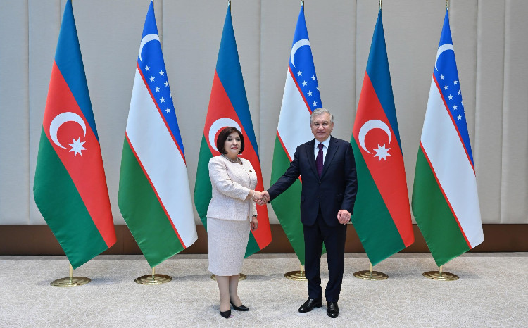 Speaker of the Milli Majlis Sahiba Gafarova Meets with President of Uzbekistan Shavkat Mirziyoyev 