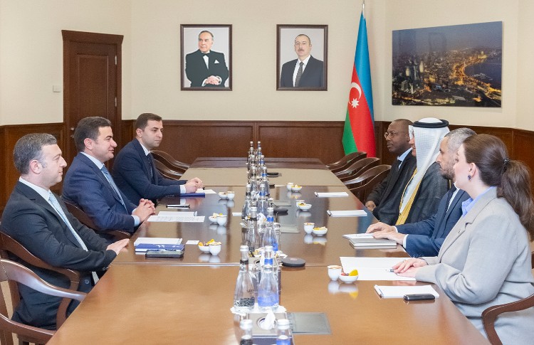 Обсуждены перспективы развития авиасообщения между Азербайджаном и Саудовской Аравией 