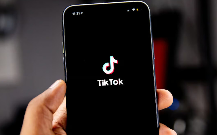 TikTok удалил в Азербайджане более трех миллионов видеороликов за 2024 год 