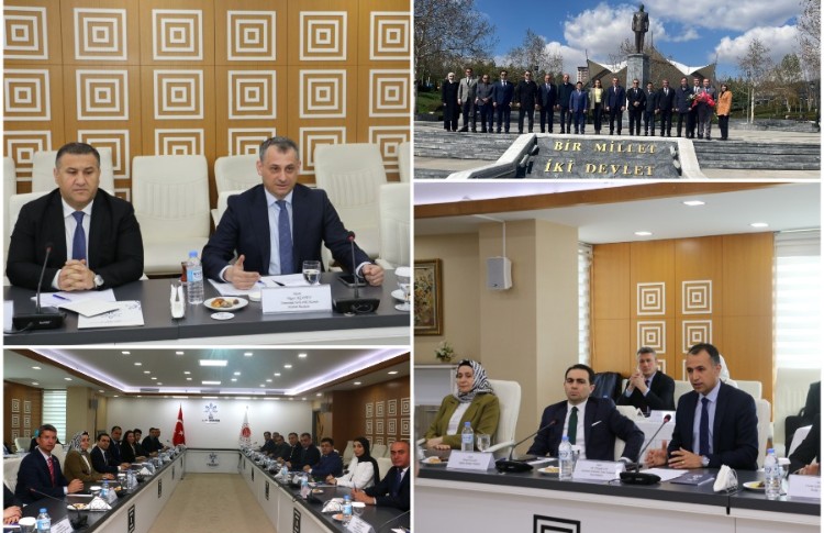 Türkiyənin probasiya təcrübəsi öyrənilir 