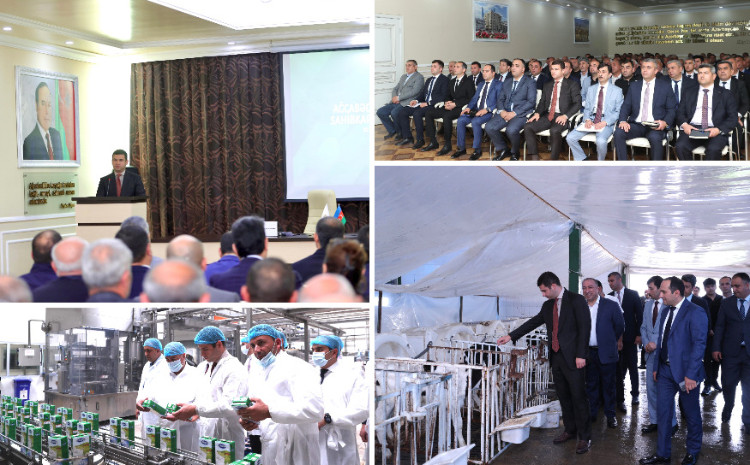 Sahibkarlarla növbəti görüş Ağcabədi rayonunda təşkil olunub 