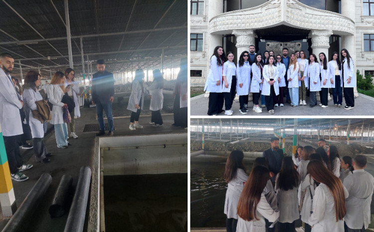 Студенты-биологи БГУ проходят практику в ООО AZVarvara 