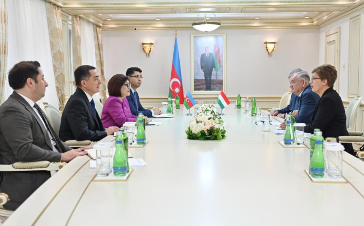 Спикер Милли Меджлиса Сагиба Гафарова встретилась с заместителем спикера Национальной Ассамблеи Венгрии 