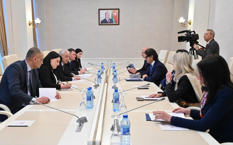 Əli Əhmədov İtaliya parlamentinin Azərbaycanla dostluq qrupunun üzvləri ilə görüşüb 