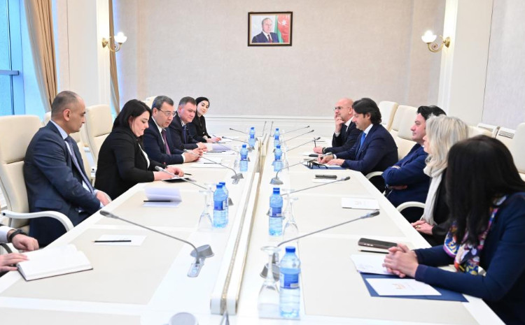 İtaliya parlamentinin nümayəndə heyəti Milli Məclisdə olub 