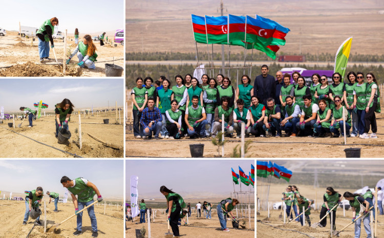 Trendyol and PASHA Holding launch a large-scale tree planting campaign 