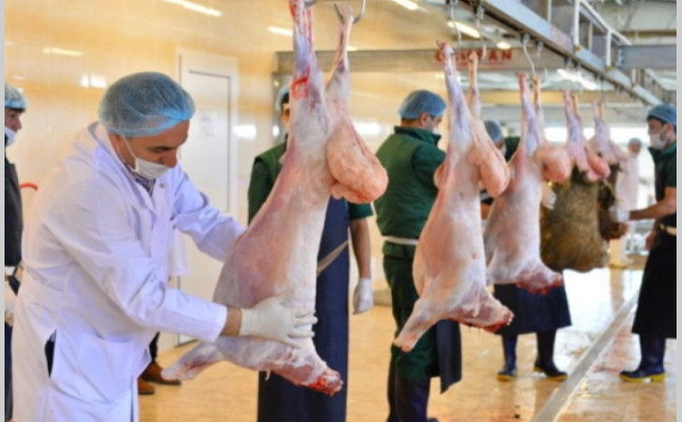 Qurbanlıq heyvanın kəsimi zamanı hansı tələblərə əməl edilməlidir? - VİDEO