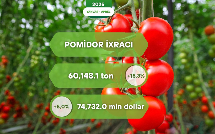 Yanvar-aprel aylarında Azərbaycandan xarici bazarlara pomidor ixracı 15,3% artıb 