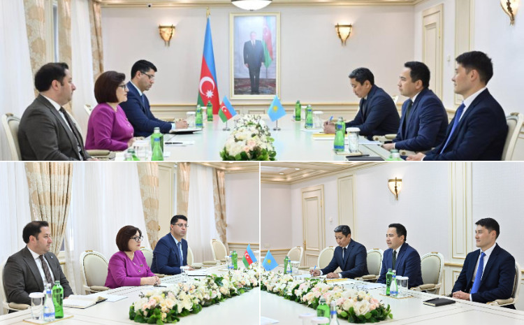 Спикер Милли Меджлиса Сагиба Гафарова встретилась с послом Казахстана в Азербайджане 