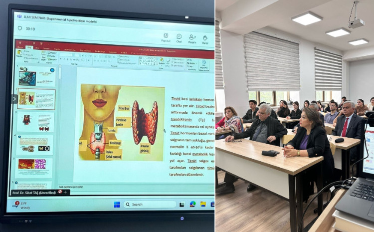 Профессор Университета Улудаг провела семинар в БГУ 