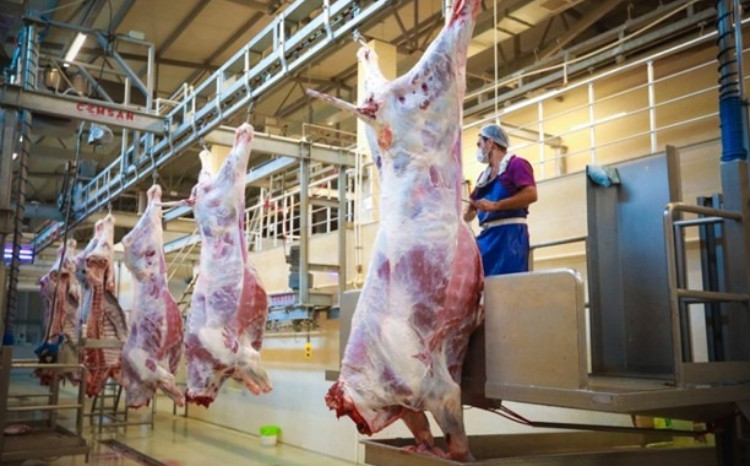 Qurbanlıq heyvanların satışı və kəsimi xidmətləri göstəriləcək ünvanlar açıqlanıb 