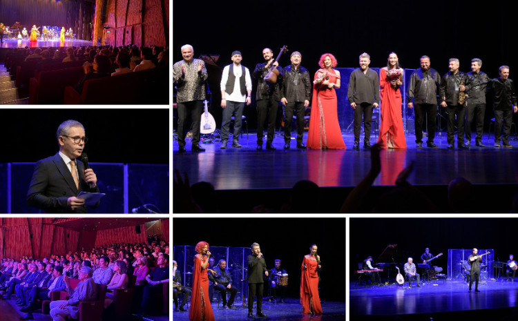 Vyanada “Alov ritmləri” adlı konsert keçirilib 
