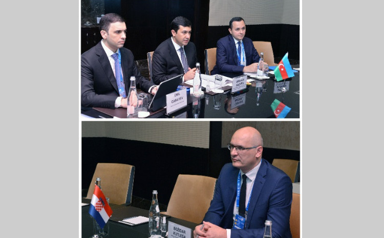 Xorvatiya ilə vergi sahəsində təcrübə mübadiləsi aparılacaq 