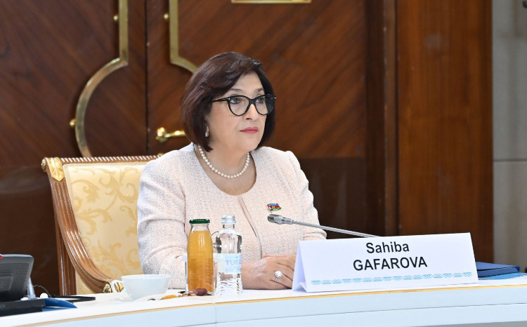Sahibə Qafarova: “Milli Məclisin TÜRKPA-ya sədrliyi dövründə təşkilatın gücləndirilməsi istiqamətində bütün addımlar atılıb” 