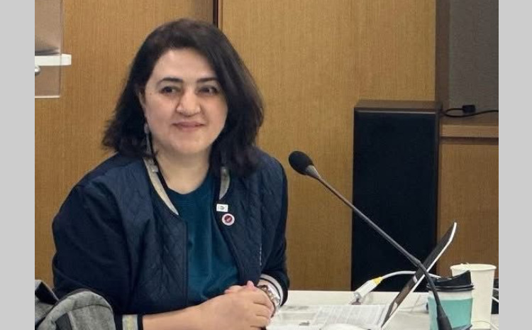 AzTU-nun Yüksək Təhsil İnstitutuna yeni direktor təyin olunub 