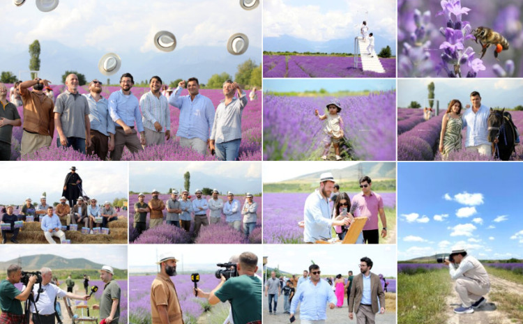 Qəbələdə lavanda etüdü: Rəssam və fotoqrafların ilham səyahəti 