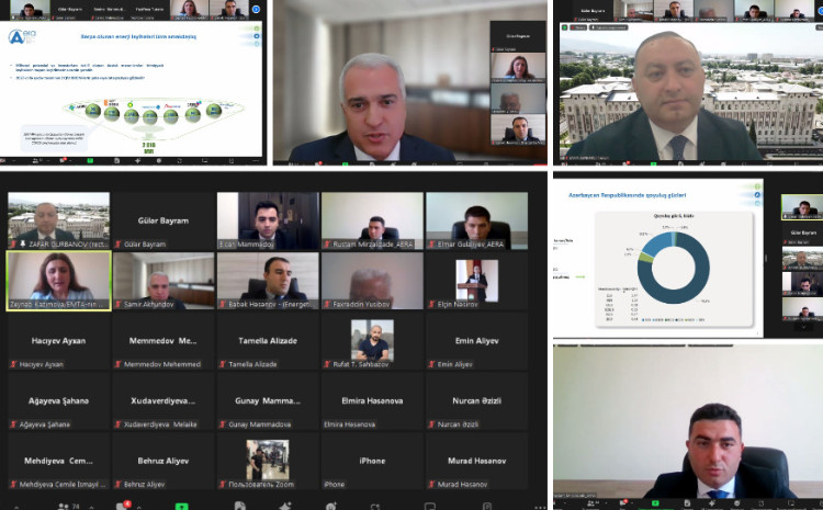 “Energy Talks” layihəsi çərçivəsində növbəti onlayn seminar keçirilib 