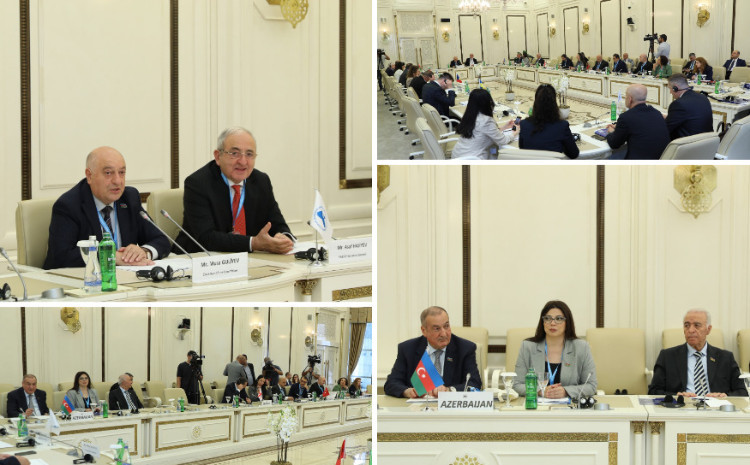 QDİƏT PA-nın Sosial və humanitar siyasət komitəsində 