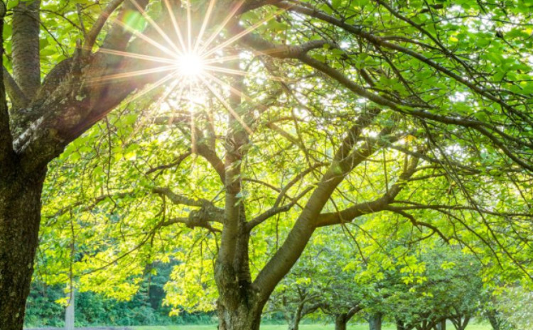 Кафедра астрофизики БГУ: «Лето в Азербайджане вступит в свои права 21 июля» 