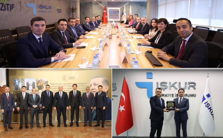 Türkiyə ilə əmək və məşğulluq sahəsində təcrübə mübadiləsi aparılır 
