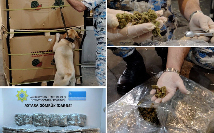 207 kiloqramdan artıq narkotik vasitə aşkar edildi 
