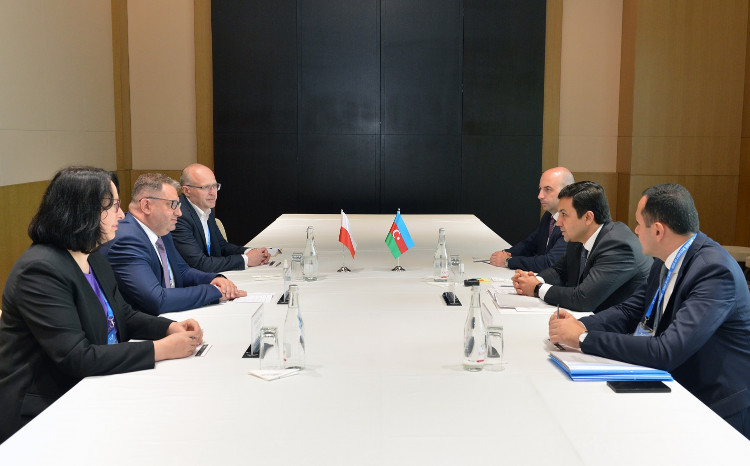 Azərbaycan və Polşa vergi sahəsində institusional əməkdaşlığın genişləndirilməsini müzakirə ediblər 