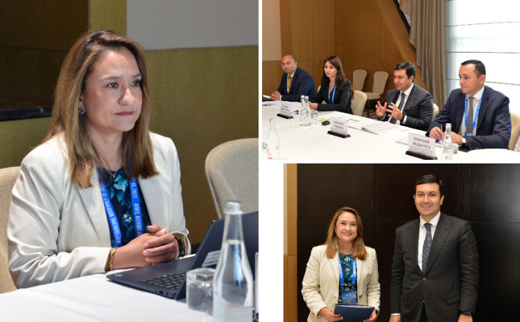 ƏDV inzibatçılığında rəqəmsal həllərin tətbiqi məsələləri müzakirə olunub 