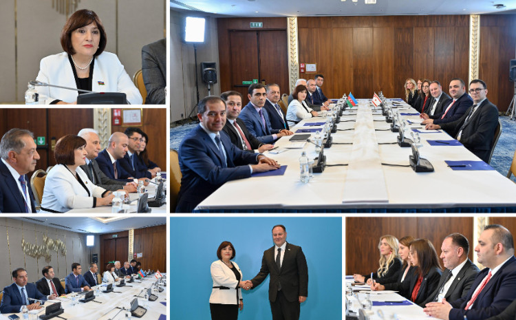 Milli Majlis Speaker Sahiba Gafarova Meets with Speaker of Majlis of Turkish Republic of Northern Cyprus in Astana 