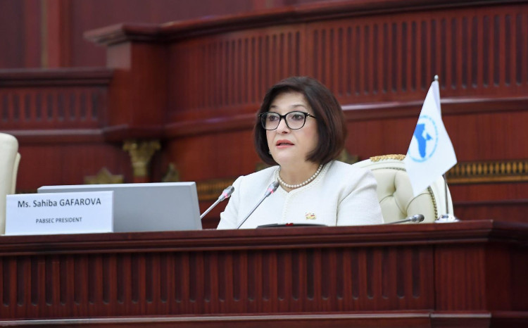 Sahiba Gafarova: Azerbaijan created conditions affording lasting peace and stability by de-occupying her lands 