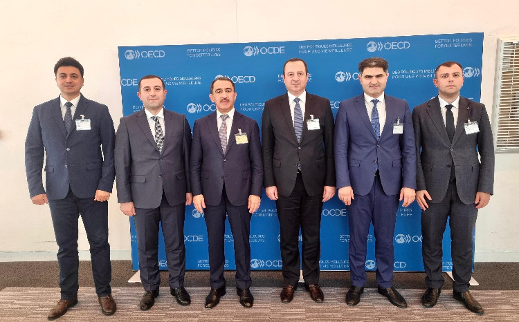 OECD Azərbaycanın korrupsiyaya qarşı mübarizə səylərini yüksək qiymətləndirdi 