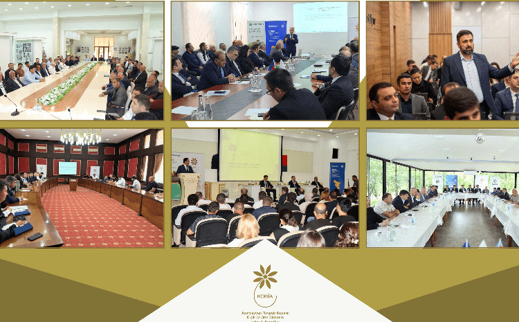 2025-ci ilin birinci yarısında sahibkarlarla 70-ə yaxın sahəvi və maarifləndirici görüşlər keçirilib 