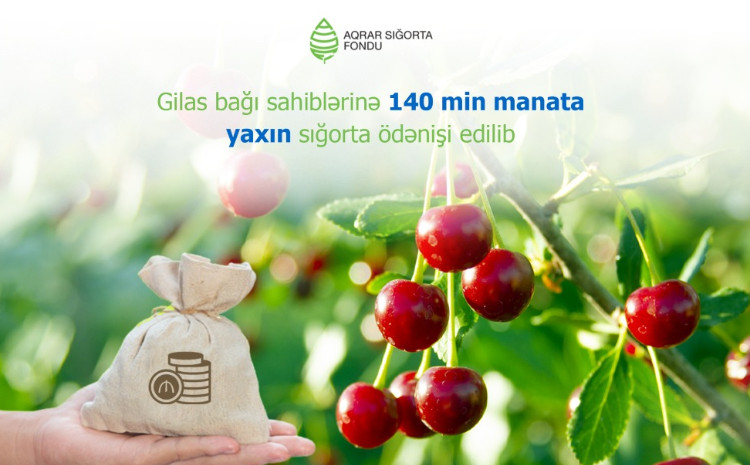 Sığortalanan gilas bağları - 2 DƏFƏ ARTIB