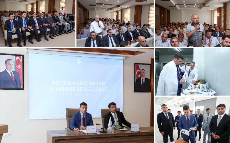 KOBİA-nın təşkilatçılığı ilə Neftçala sahibkarları ilə görüş keçirilib 