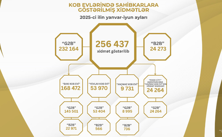 Bu ilin I yarısında KOB evlərində sahibkarlara 260 minə yaxın xidmət göstərilib 