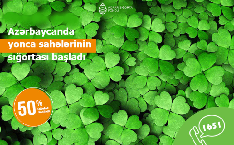 Azərbaycanda yonca sahələrinin sığortalanması başlandı - ŞƏRTLƏR, QİYMƏTLƏR
