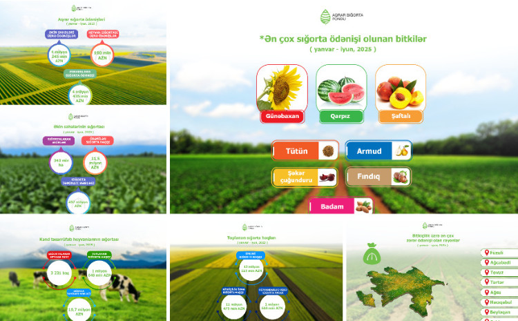 2025-ci ilin ilk yarısında təsərrüfatlara dəymiş zərərə görə 4 milyon 435 min manat sığorta ödənişi edilib 
