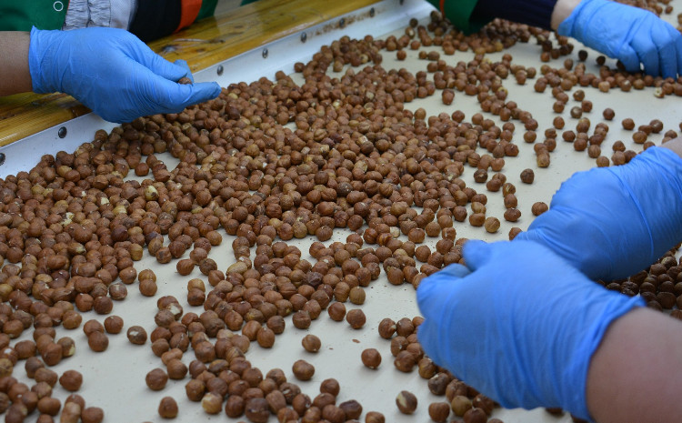 Fındıq istehsalçıları ilə görüş keçirilib 