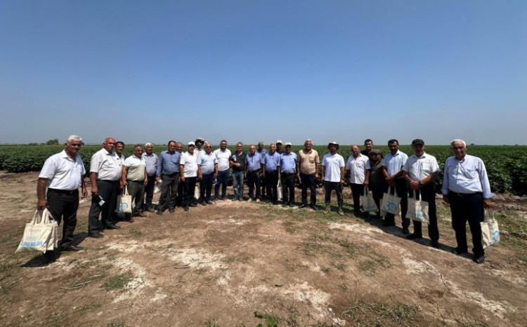 Prime Cotton Yevlax və Beyləqanda fermerlər üçün maarifləndirici tədbirlər keçirib 
