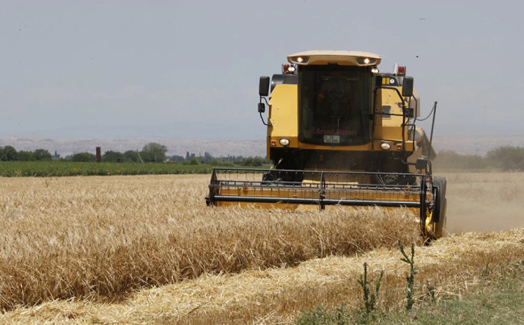 Biçin başa çatır 