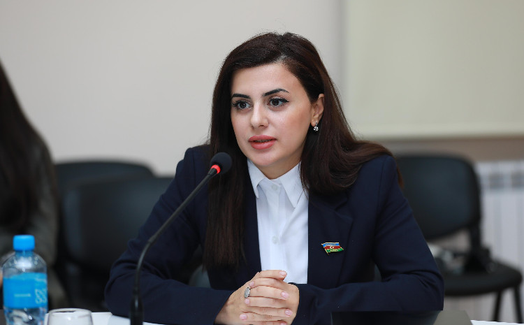 Azərbaycan Suriyanın inkişafına konkret töhfə verməyə hazırdır - Pərvanə Vəliyeva